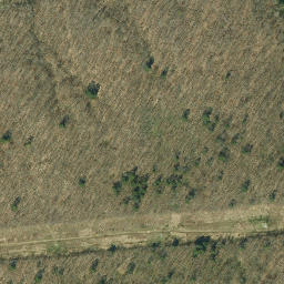 Satellite imagery of Red House Point, US