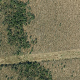 Satellite imagery of Red House Point, US