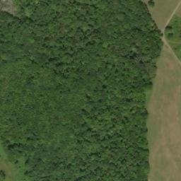 Satellite imagery of Money Point, US
