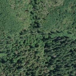 Satellite imagery of Wheeler Ridge, US