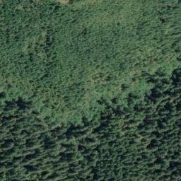 Satellite imagery of Wheeler Ridge, US