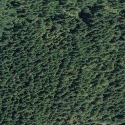 Satellite imagery of Wheeler Ridge, US