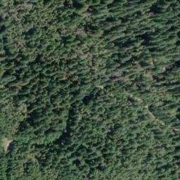 Satellite imagery of Wheeler Ridge, US