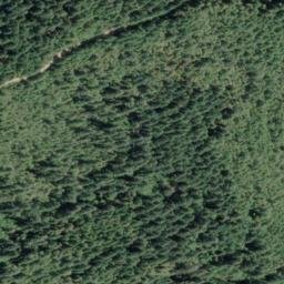 Satellite imagery of Wheeler Ridge, US