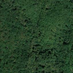 Satellite imagery of Tserovata Bardchina, BG