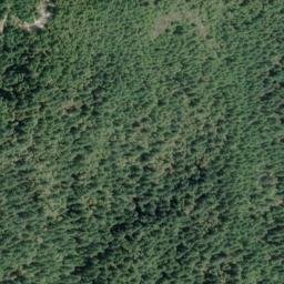 Satellite imagery of Wheeler Ridge, US
