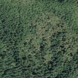 Satellite imagery of Wheeler Ridge, US