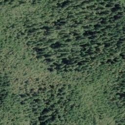 Satellite imagery of Wheeler Ridge, US