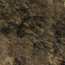 Satellite imagery of Bow Ridge, US