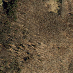 Satellite imagery of Bow Ridge, US