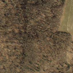 Satellite imagery of Bow Ridge, US
