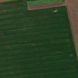 Satellite imagery of TT19, BG