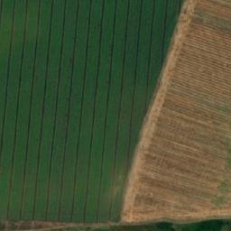 Satellite imagery of TT25, BG