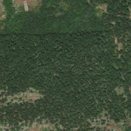 Satellite imagery of TT113, TR