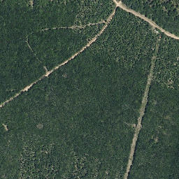 Satellite imagery of survey_point, PT