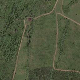 Satellite imagery of TT4466, TR