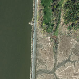 Satellite imagery of Sycamore Point, US