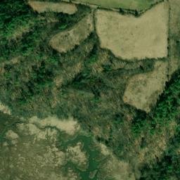 Satellite imagery of Sycamore Point, US