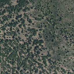 Satellite imagery of survey_point, PT