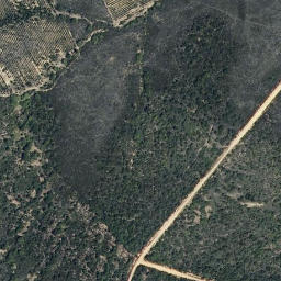 Satellite imagery of survey_point, PT
