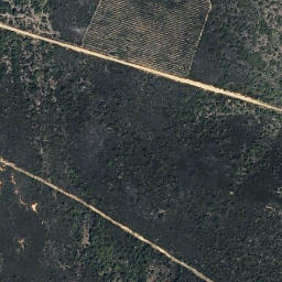 Satellite imagery of survey_point, PT
