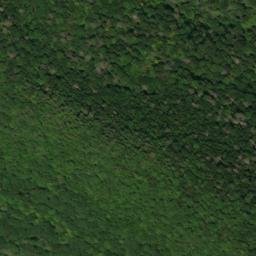 Satellite imagery of Fork Ridge, US