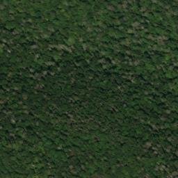 Satellite imagery of Fork Ridge, US