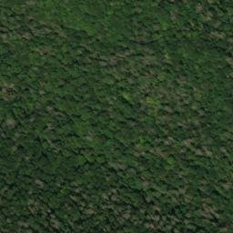 Satellite imagery of Fork Ridge, US
