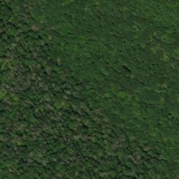 Satellite imagery of Fork Ridge, US