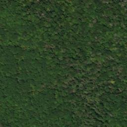 Satellite imagery of Fork Ridge, US