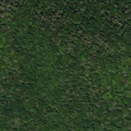 Satellite imagery of Fork Ridge, US