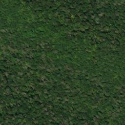 Satellite imagery of Fork Ridge, US