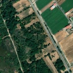 Satellite imagery of survey_point, PT