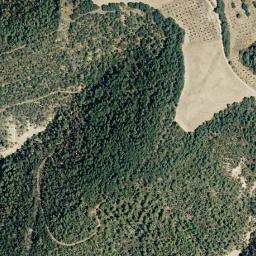 Satellite imagery of survey_point, FR