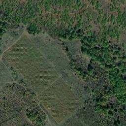 Satellite imagery of TT1266, TR