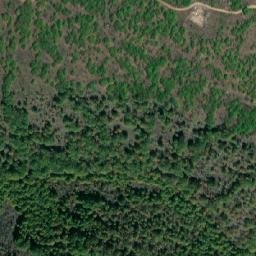 Satellite imagery of TT1266, TR