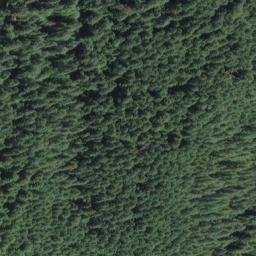 Satellite imagery of Peavine Ridge, US