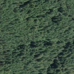 Satellite imagery of Peavine Ridge, US