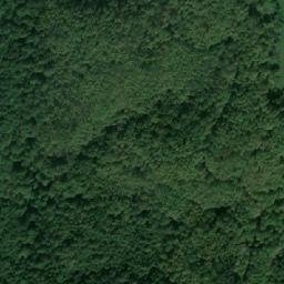 Satellite imagery of Todorovata Bardchina, BG
