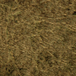 Satellite imagery of Moore Ridge, US