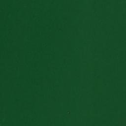 Satellite imagery of Turkey Point, US