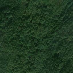 Satellite imagery of Golemo Osicheto, BG