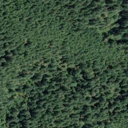 Satellite imagery of Bear Ridge, US