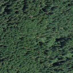 Satellite imagery of Bear Ridge, US