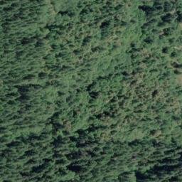 Satellite imagery of Bear Ridge, US