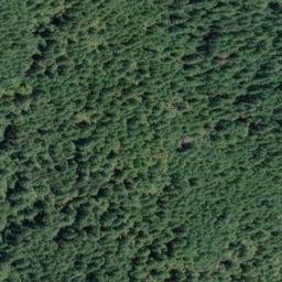 Satellite imagery of Bear Ridge, US
