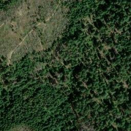 Satellite imagery of Ponyshoe Mine, US
