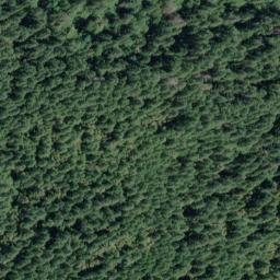Satellite imagery of Bear Ridge, US