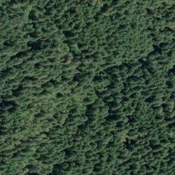 Satellite imagery of Bear Ridge, US