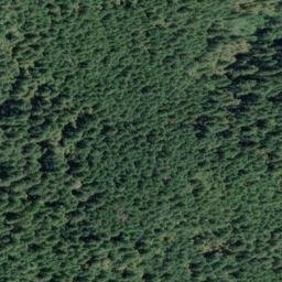 Satellite imagery of Bear Ridge, US